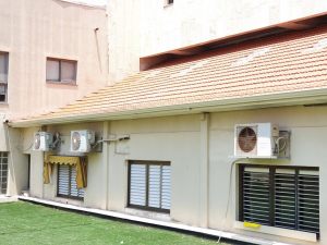 20200716_122407 (Medium)